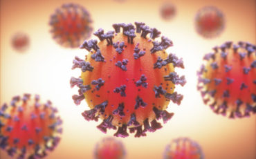 COVID-19, Coronavirus, group of viruses that cause diseases in mammals and birds. In humans, the virus causes respiratory infections. 3D illustration.